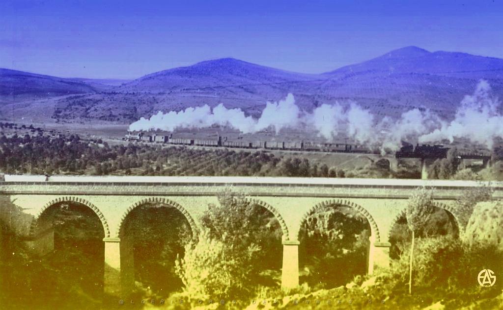 Saida 519- Train sortant de la gare.jpg